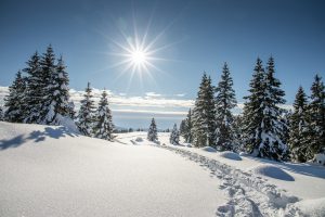 01-Winter-Ultental-Poeder-daheim-in-den-Bergen