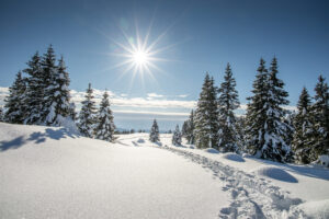 Winterferien Ultental S&uuml;dtirol