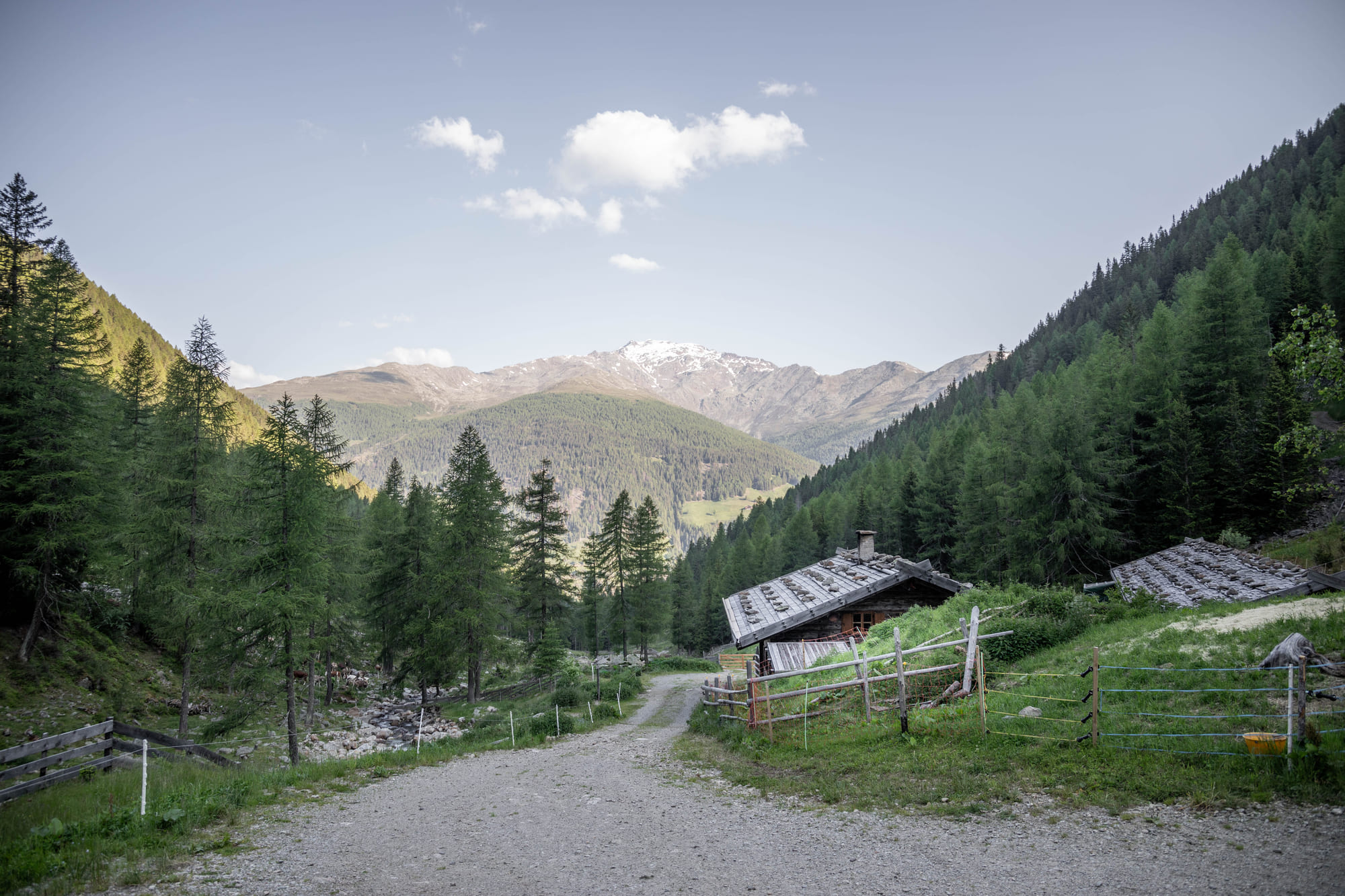 Die Auerbergalm in St. Nikolaus in Ulten