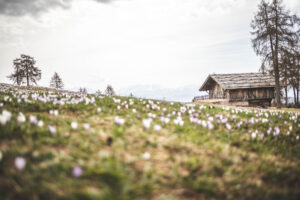 Landschaftsfotograf S&uuml;dtirol