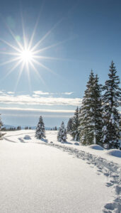 winterurlaub-ferienwohnung-ultental-suedtirol