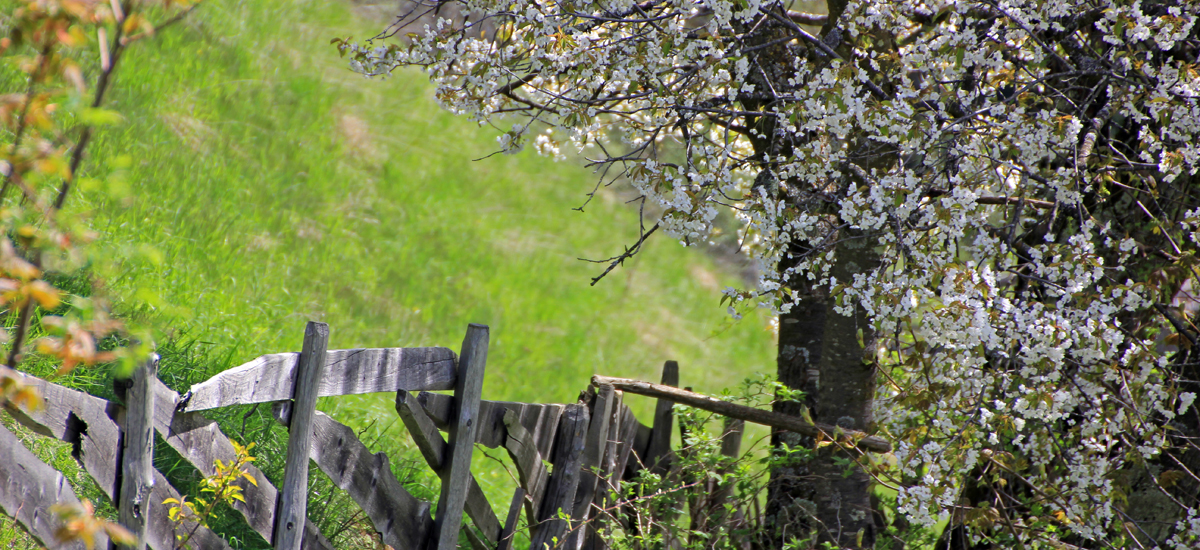 Garni AktivHotel Poeder***S - Titelbild