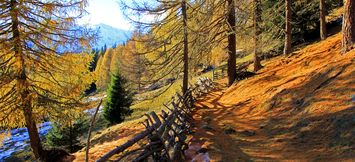 Garni AktivHotel Poeder***S - Titelbild