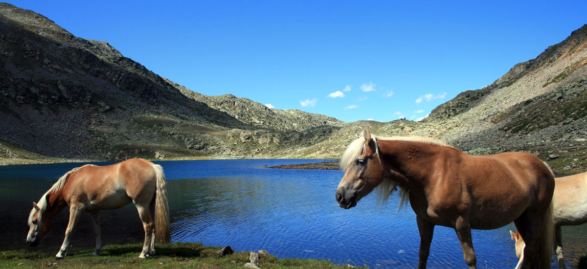 Garni AktivHotel Poeder***S - Titelbild