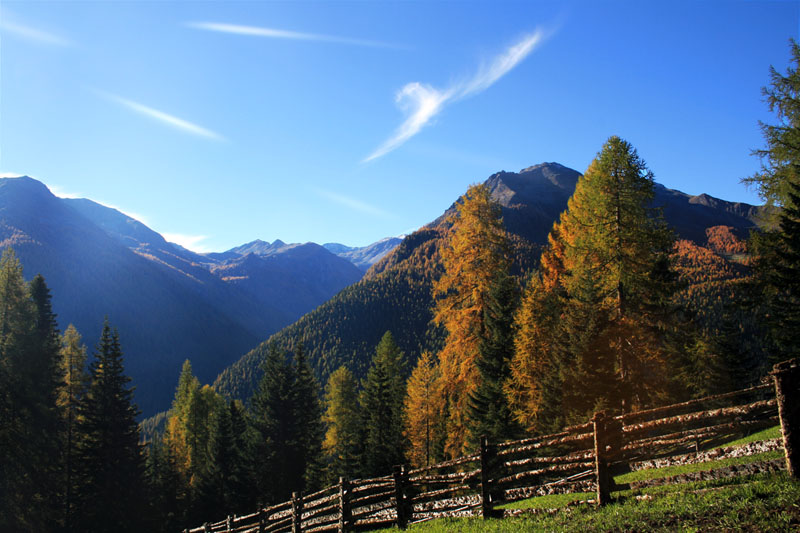 Goldener Herbst