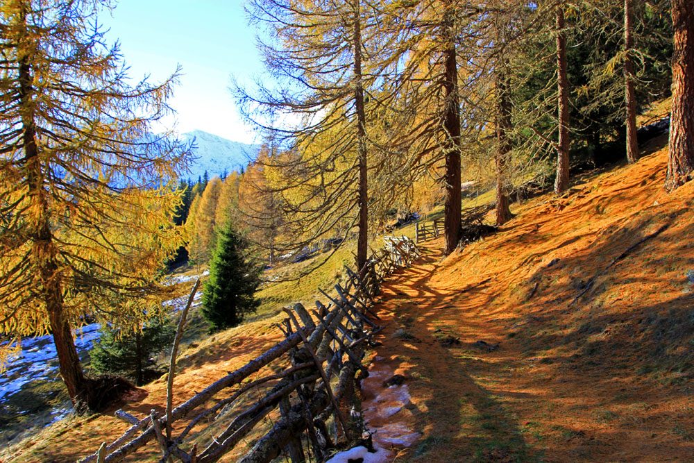 Goldener Herbst