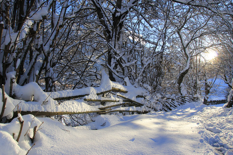 Winterwanderwelt