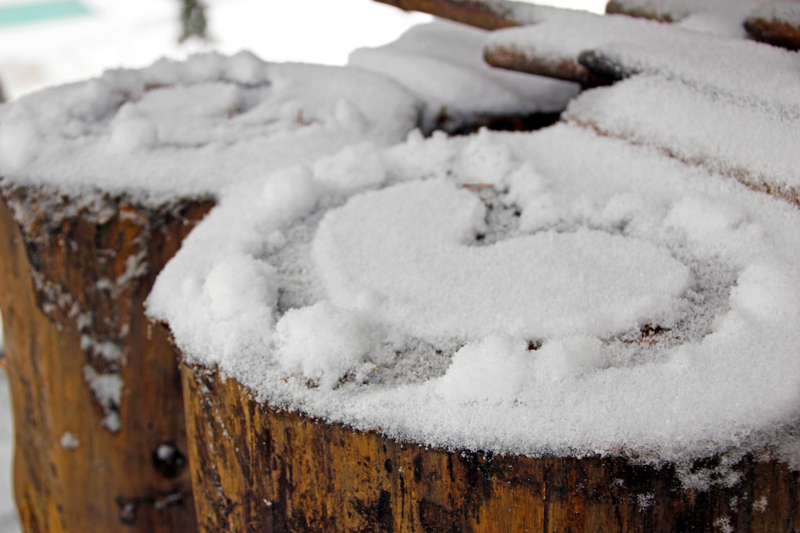 Winterwanderwelt