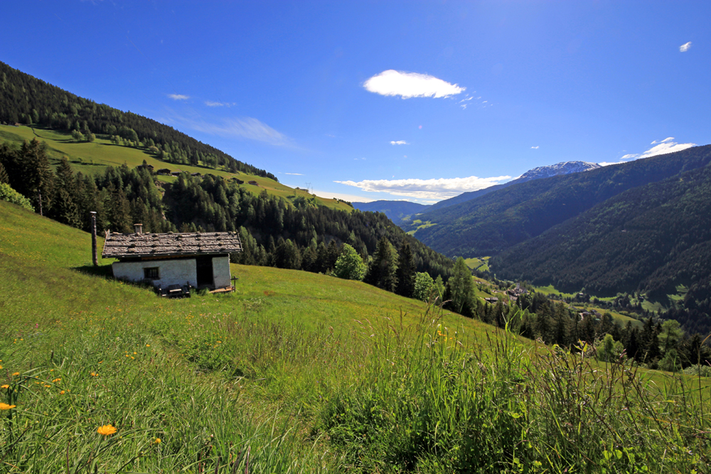 Sommer in den Bergen