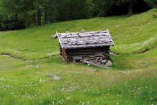 Sommer in den Bergen